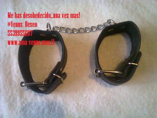 Mira perro lo que tengo para ti! 5539955687