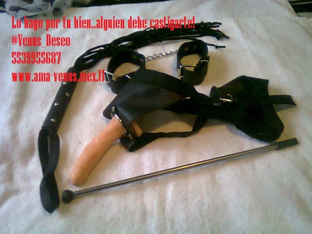Mira perro lo que tengo para ti! 5539955687