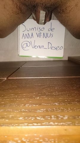 El proximo cerdo seras tu! 5539955687