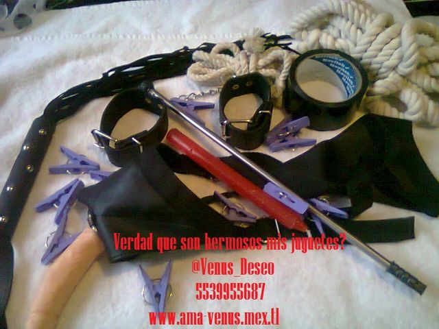 Mira perro lo que tengo para ti! 5539955687