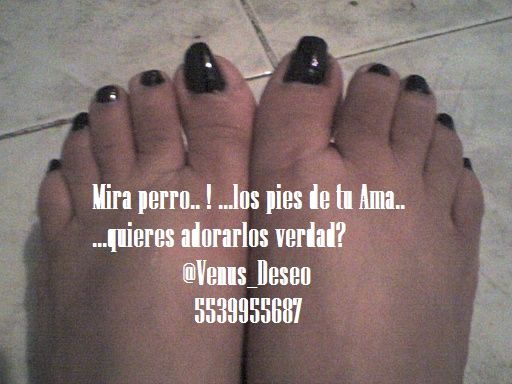 Aqui tienes mis pies..perro.. adoralos 
5539955687