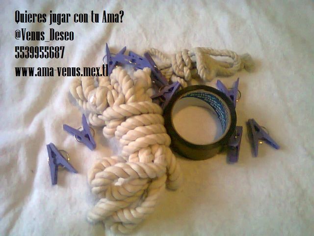Mira perro lo que tengo para ti! 5539955687